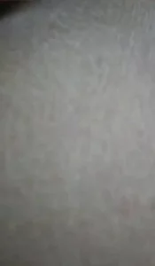 后入青岛肥臀嫩逼黑森林