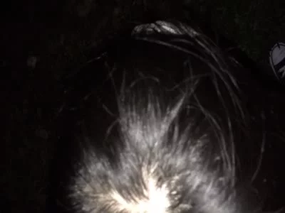 [原创] 与咖啡厅小领班95后D杯妹子公园野战